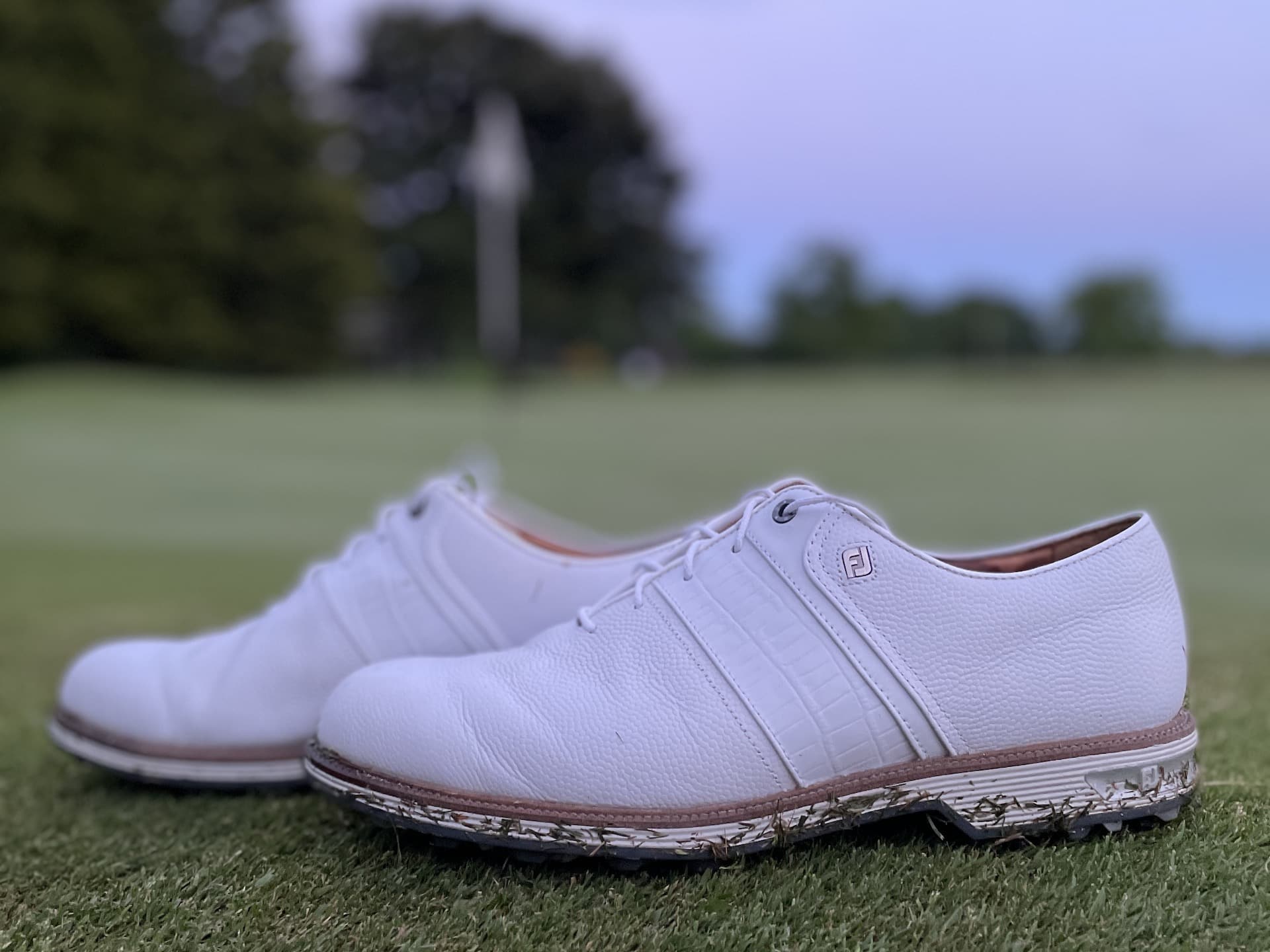 FootJoy Premiere Series Packard Golf Shoes 3