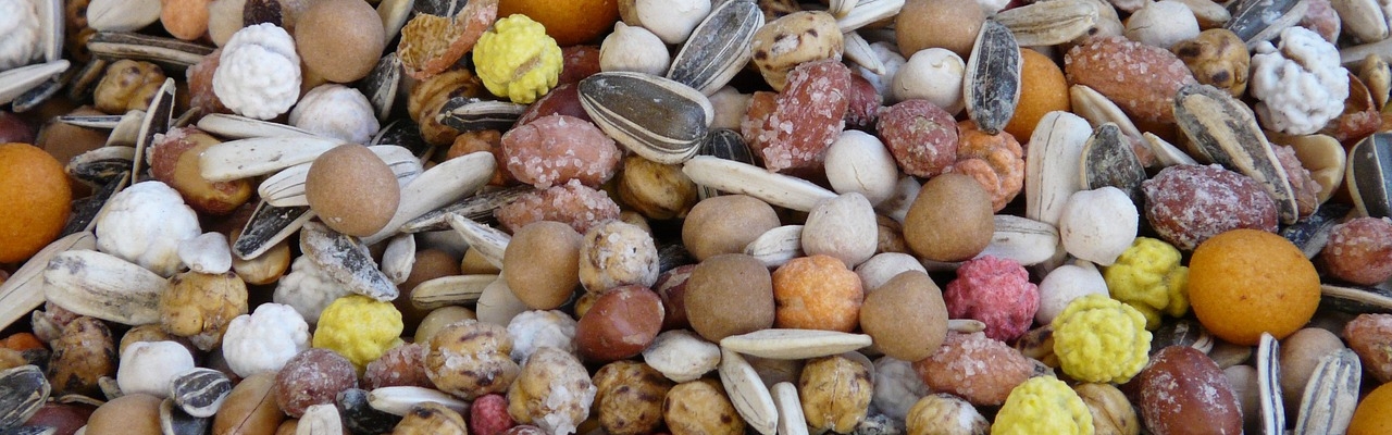 A healthy golf snack consisting of a range of nuts